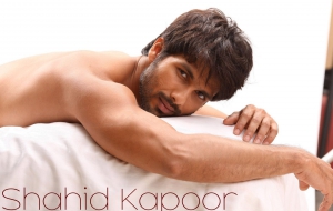 Shahid Kapoor Desktop