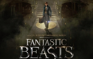Fantastic Beasts And Where To Find Them HD Wallpaper