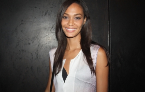 Joan Smalls Wallpapers HD