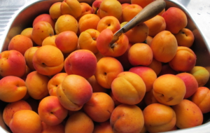 Apricots Widescreen