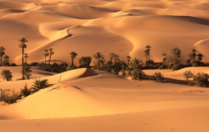 Desert Widescreen