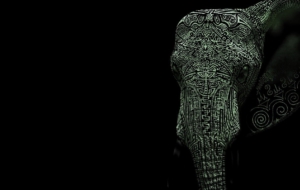 Elephant HD Background Elephant HD Background