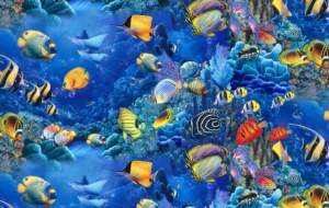 Fish Images Fish Images