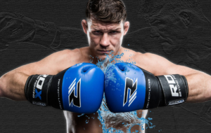 Michael Bisping Wallpapers
