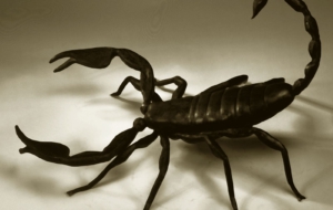 Scorpion High Definition Wallpapers