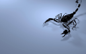 Scorpion Full HD