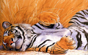 Siberian Tiger Deskto