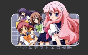 Baka And Test For Desktop