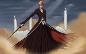 Bleach HD