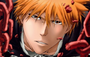 Bleach Widescreen