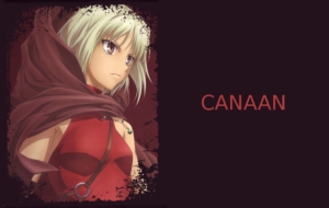 Canaan For Desktop