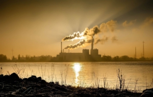 Factory High Quality Wallpapers