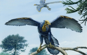 Archaeopteryx Computer Wallpaper