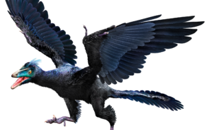 Archaeopteryx Images