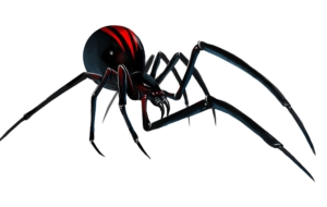 Black Widow Wallpapers HD