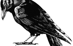 Crow Arts HD Background