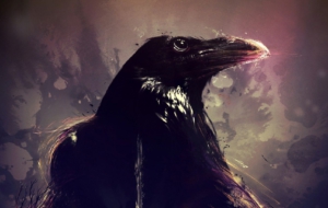 Crow Arts Pictures