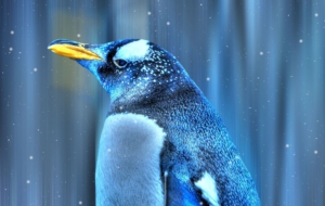 Emperor Penguin 4K