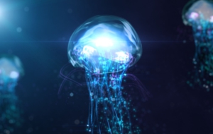 Jellyfish HD Background