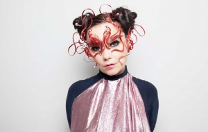 Bjork Widescreen